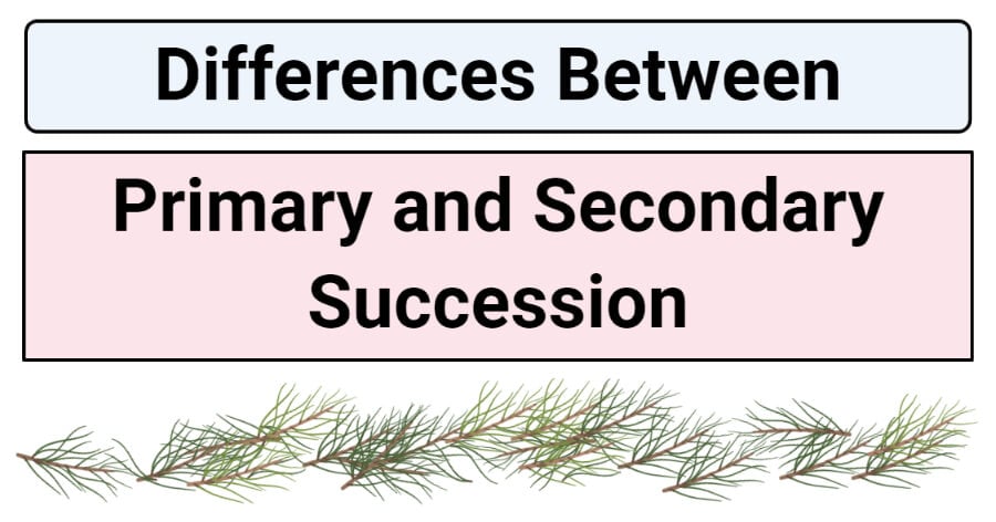 Differences Between Primary and Secondary Succession