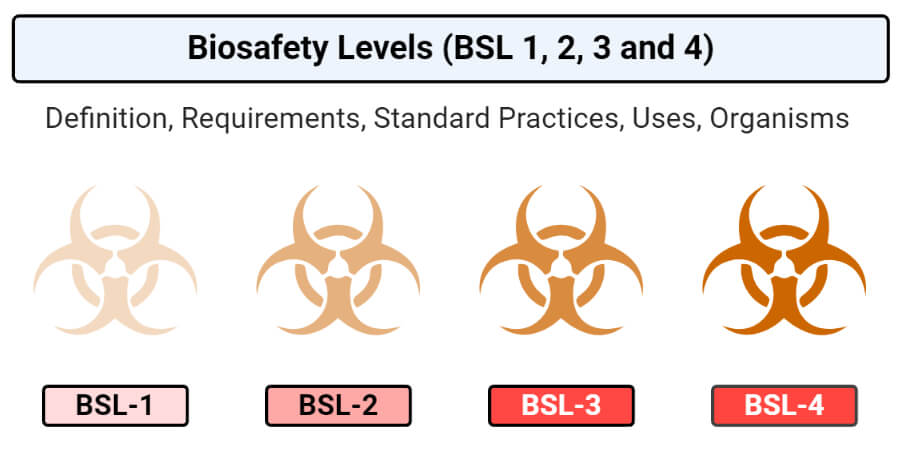 Biosafety Levels (BSL-1, BSL-2, BSL-3 and BSL-4) - Microbe Notes