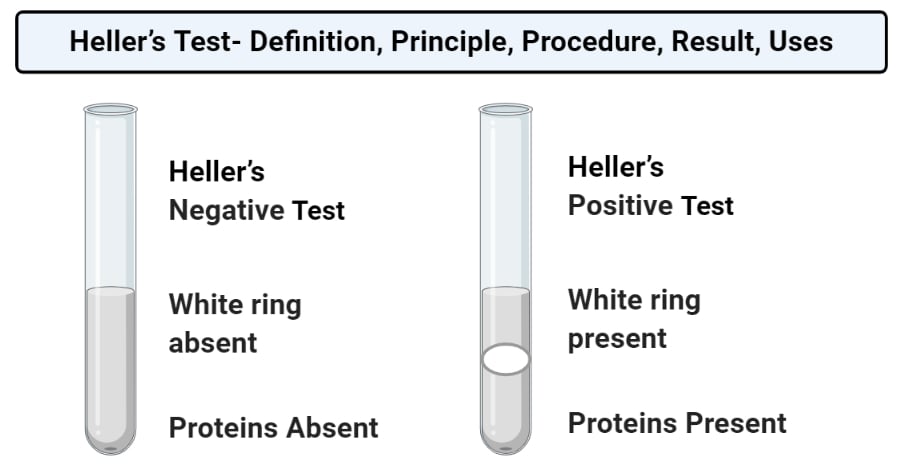 Heller’s Test