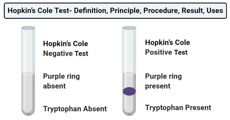 Hopkin’s Cole Test
