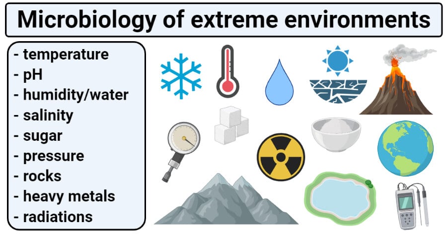 Microbiology of extreme environments