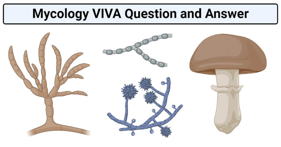 Mycology VIVA Question and Answer