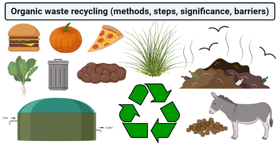 Organic waste recycling (methods, steps, significance, barriers)
