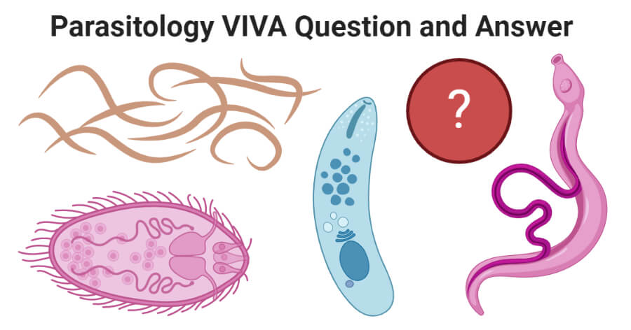Parasitology VIVA Question and Answer - Microbe Notes