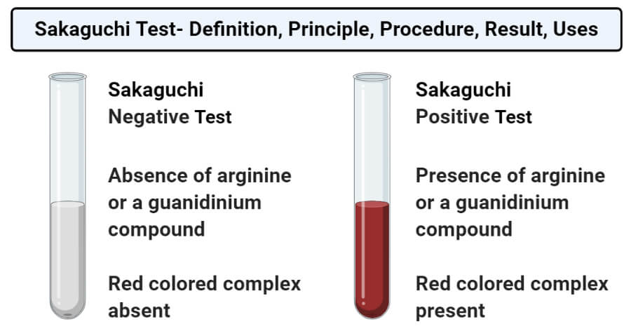 Sakaguchi Test