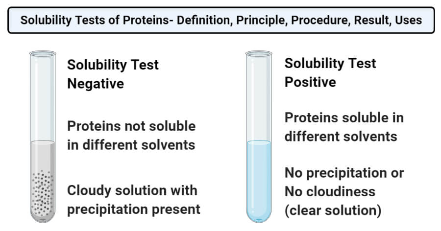 Solubility Tests of Proteins