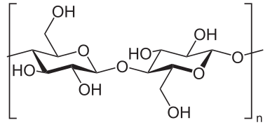 Structure of cellulose