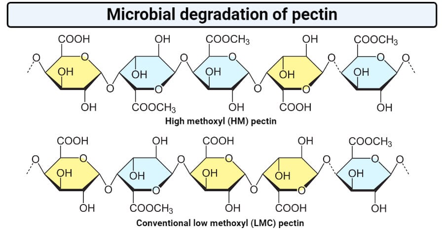 Structure of pectin
