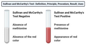 Sullivan and McCarthy’s Test