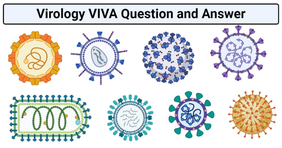 Virology VIVA Question and Answer