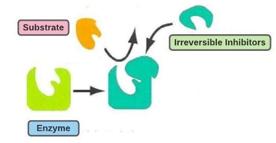 Irreversible inhibition of enzymes