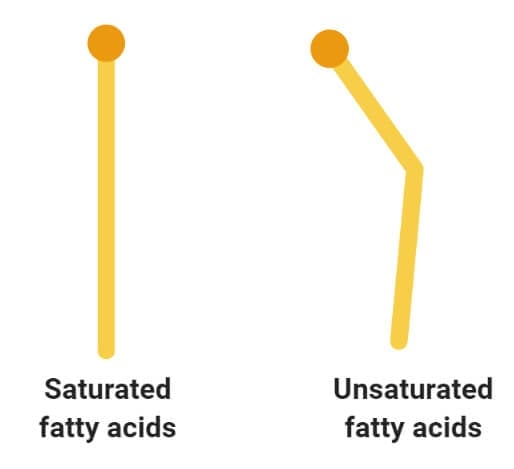 Saturated and Unsaturated Fatty acids