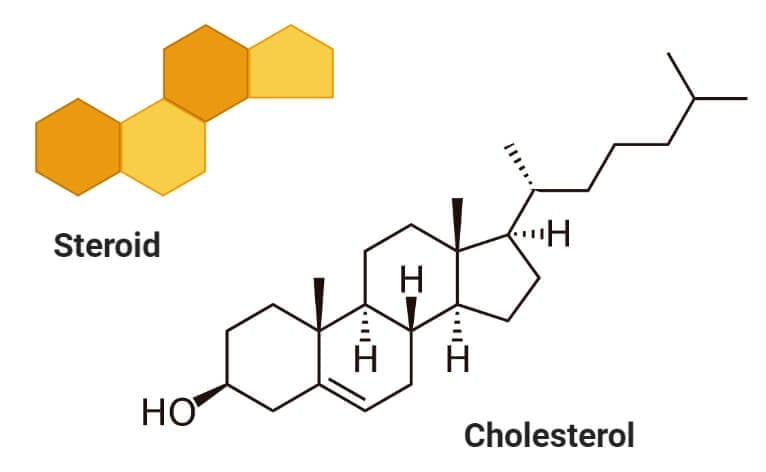 Sterols (Cholesterol)
