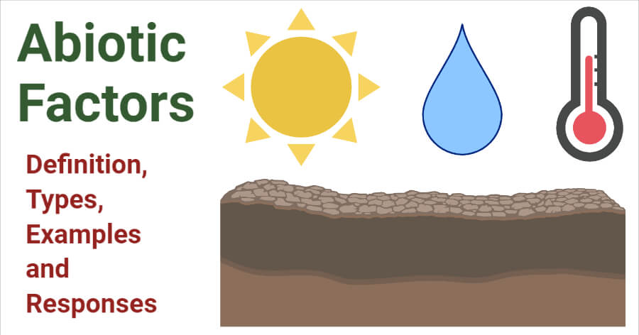 Abiotic Factors Definition Types Examples And Responses