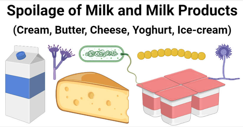 Spoilage of Milk and Milk Products (Cream, Butter, Cheese, Yoghurt, Ice-cream)