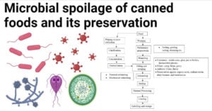 Microbial spoilage of canned foods and its preservation