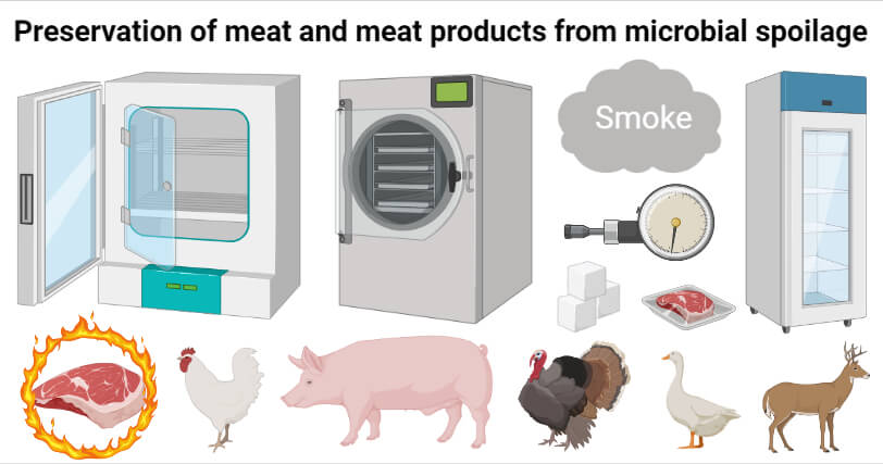 Preservation of meat and meat products from microbial spoilage