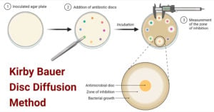 Kirby Bauer Disc Diffusion Method For Antibiotic Susceptibility Testing