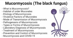 Mucormycosis (The black fungus)