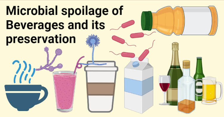 Microbial spoilage of Beverages and its preservation