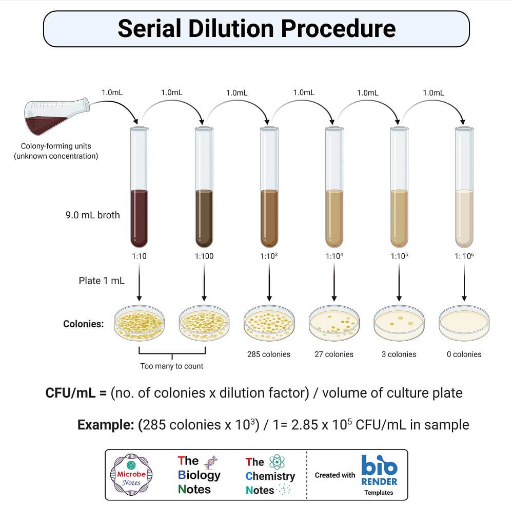 method for serial dilution experiments