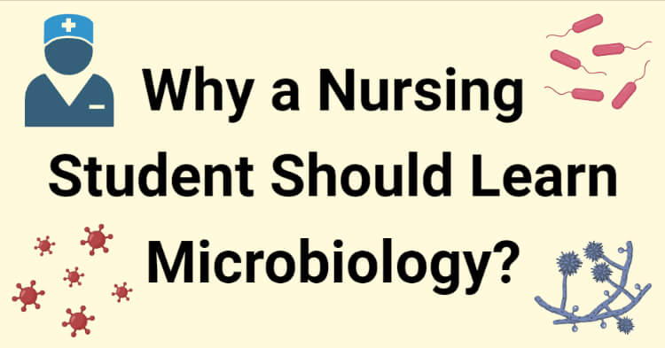 Why a Nursing Student Should Learn Microbiology