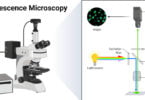 Fluorescence Microscopy Fluorescence Microscopy