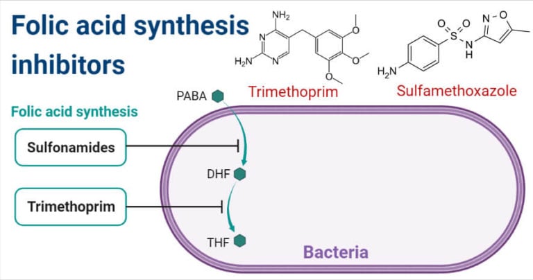 Folic acid synthesis inhibitors- Definition, Examples, Inhibition