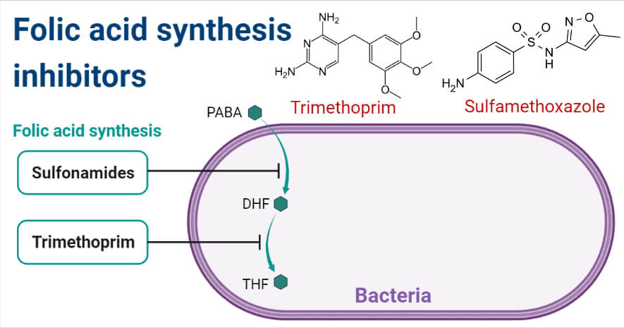 Folic acid synthesis inhibitors