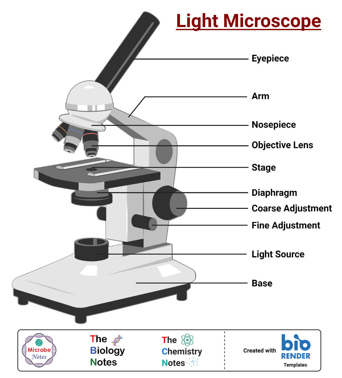 main components of a light microscope