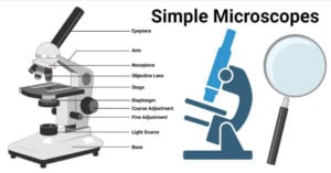 Simple Microscope