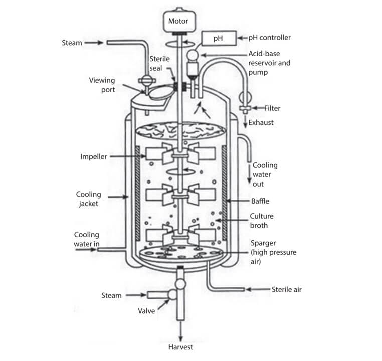 Bioreactor Diagram