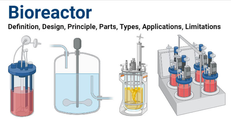 Bioreactor- Definition, Design, Principle, Parts, Types, Applications,  Limitations