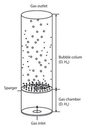Bubble column fermentor