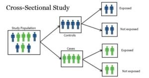 Cross-Sectional Study- Definition, Types, Applications, Advantages, Limitations