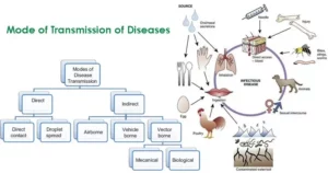Mode of Transmission of Diseases- Direct and Indirect Transmission