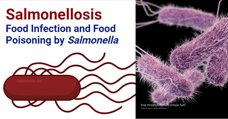 Salmonellosis- Food Infection and Food Poisoning by  Salmonella