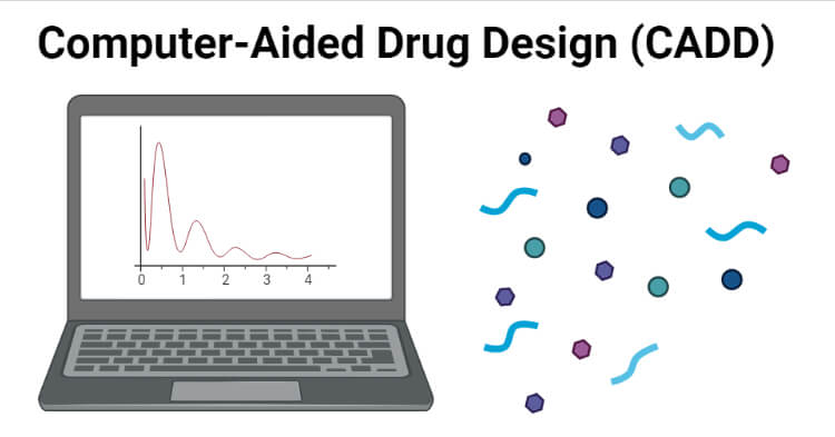 Computer-Aided Drug Design (CADD)