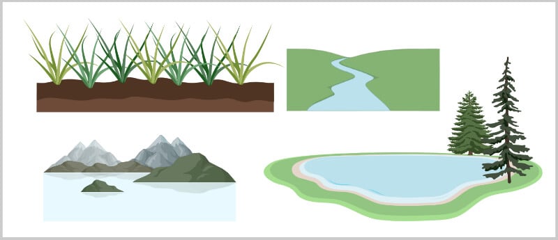 Ecology (Habitat) of Bacteria