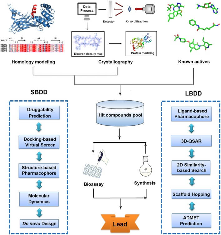 Structure-based drug design (SBDD) and Ligand-based drug design (LBDD)