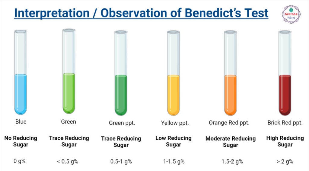 Result Interpretation, Observation of Benedict's Test