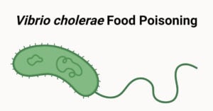Vibrio cholerae Food Poisoning