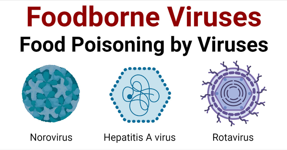 Foodborne Viruses- Food Poisoning by Viruses