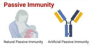 Passive Immunity