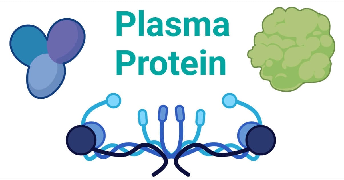 Plasma Protein