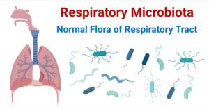 Respiratory Microbiota- Normal Flora of Respiratory Tract