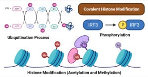 Covalent Histone Modification