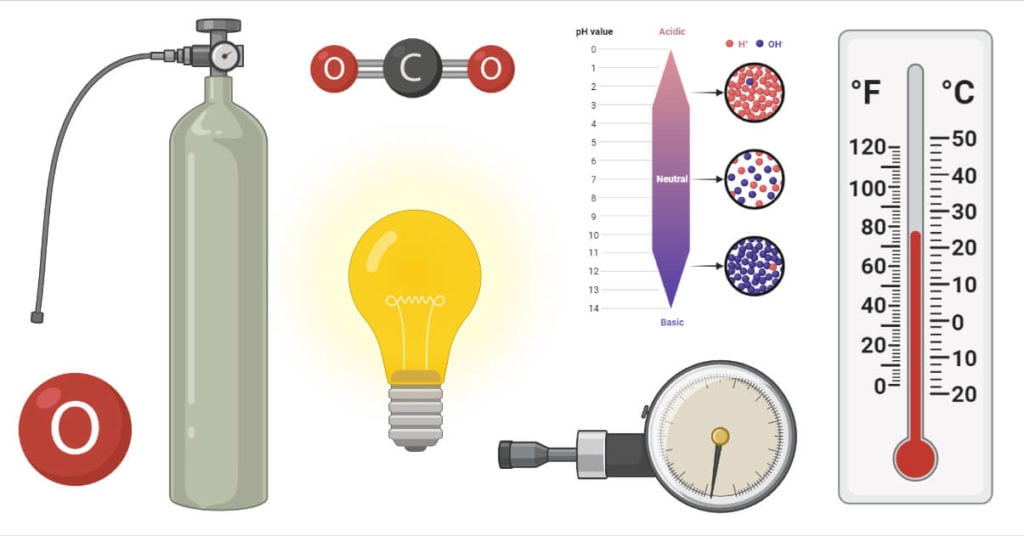 bacterial-growth-and-factors-affecting-growth-of-bacteria