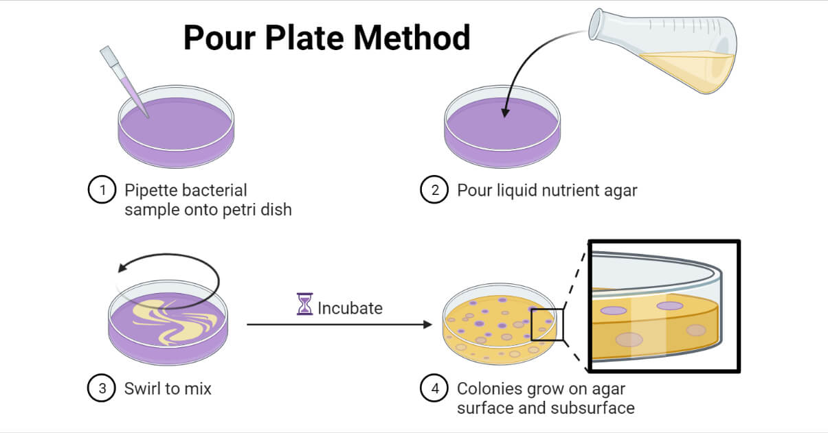 Pour Plate Method