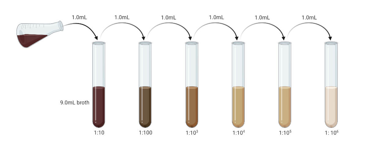 Serial-Dilution